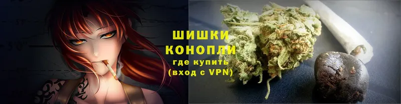 Конопля SATIVA & INDICA  наркошоп  Каневская 